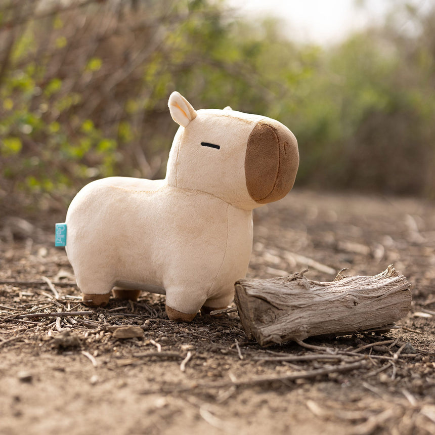 Mini Cappi Le Capybara-Bellzi-BLZ-CAPPI-S-BRN-CLÉMENT