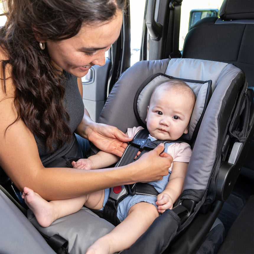 Siège d'Auto EZ Lift 35lb - Noir-Baby Trend-BTR-CC02F00A-CLÉMENT