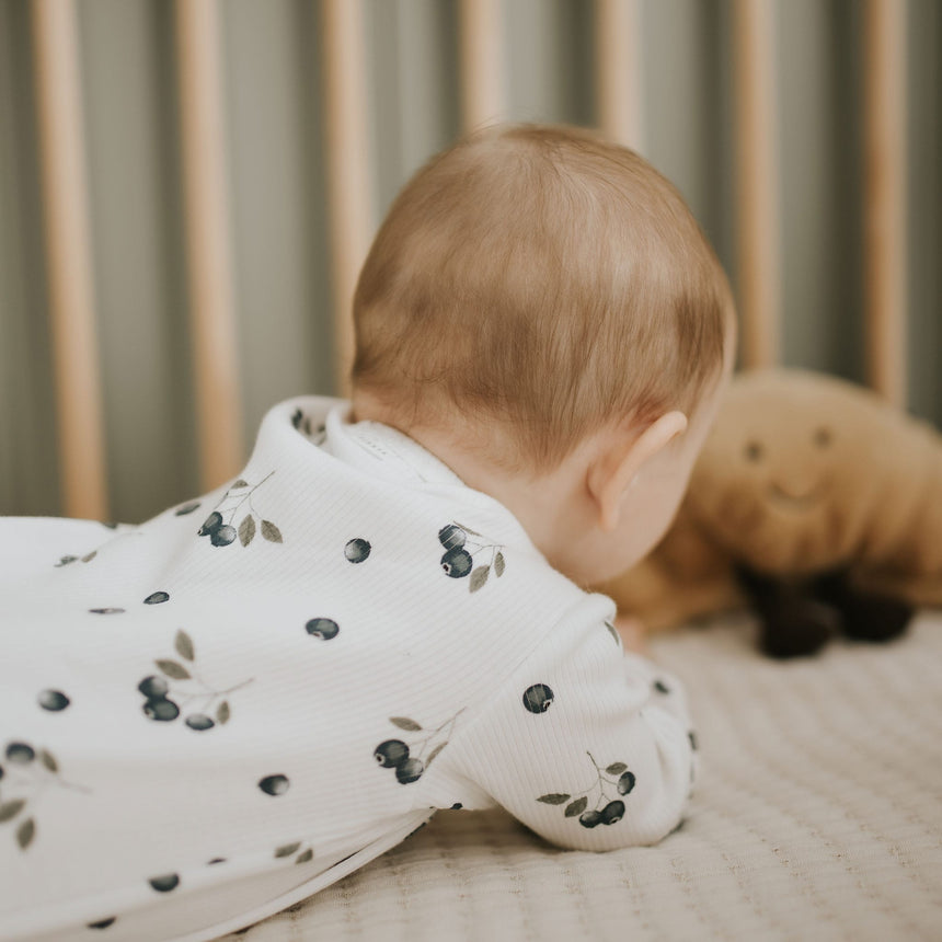 Pyjama Bleuets 0-12mois-Firsts par Petit Lem-FIT-26EGL30P01-CLÉMENT