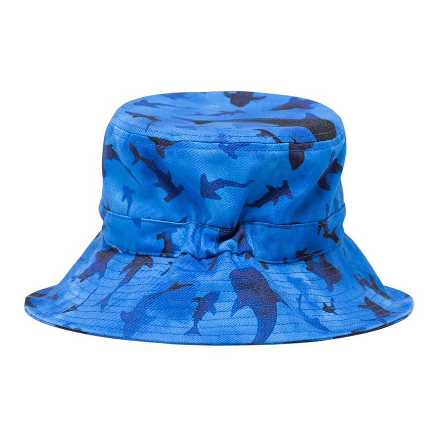 Chapeau 2-4ans - Requins-Herschel Supply Co-HIC-50766-07192-CLÉMENT
