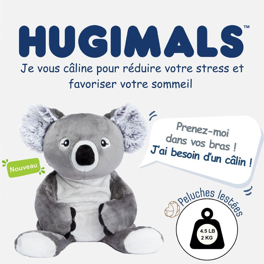 Peluche Lourde 2kg - Quinn le Koala-Hugimals-HUG-HUG008KO-CLÉMENT