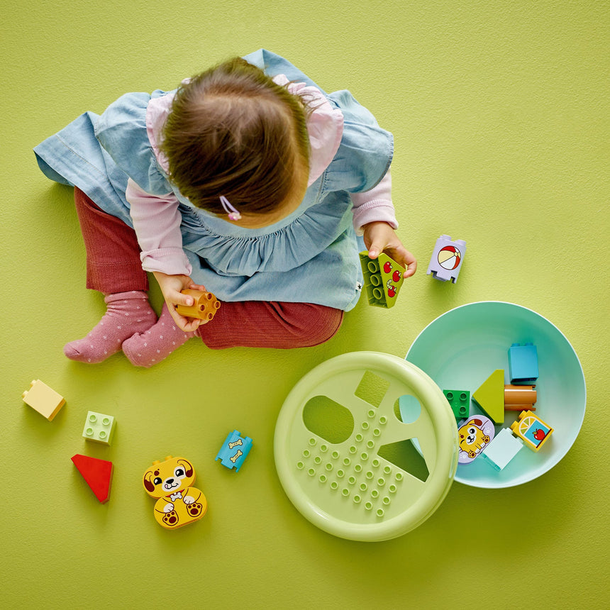 LEGO® DUPLO® Mon premier - Le trieur de formes : la niche du chiot-LEGO®-LGO-10441-CLÉMENT