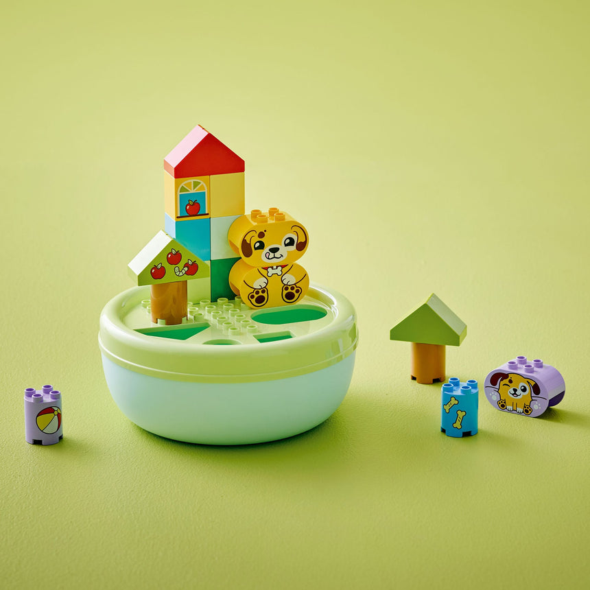 LEGO® DUPLO® Mon premier - Le trieur de formes : la niche du chiot-LEGO®-LGO-10441-CLÉMENT