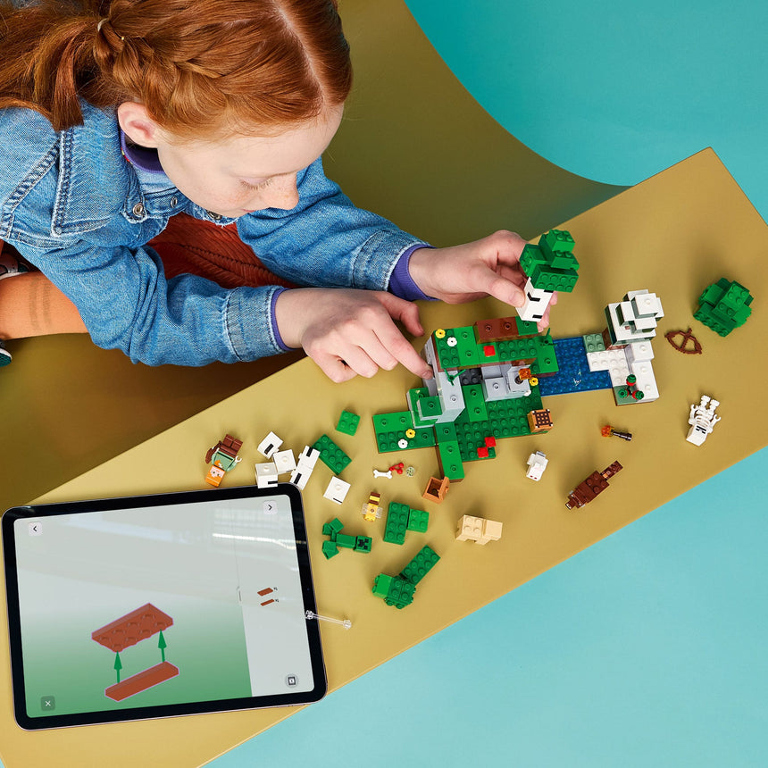 LEGO® Minecraft® L’aventure de la première nuit-LEGO®-LGO-21593-CLÉMENT
