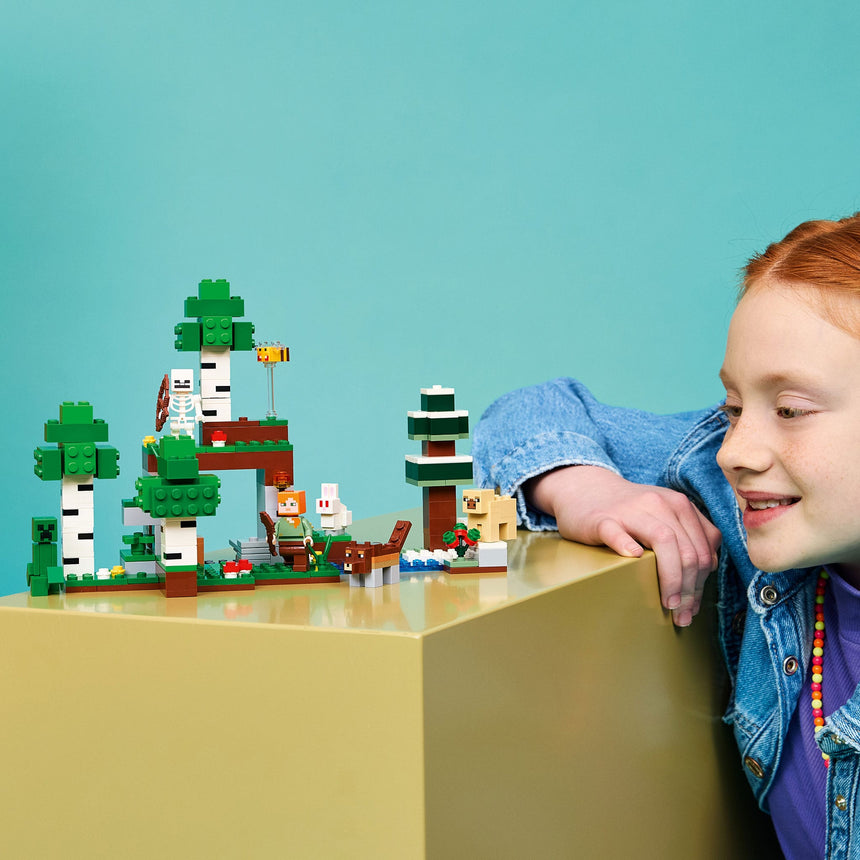 LEGO® Minecraft® L’aventure de la première nuit-LEGO®-LGO-21593-CLÉMENT