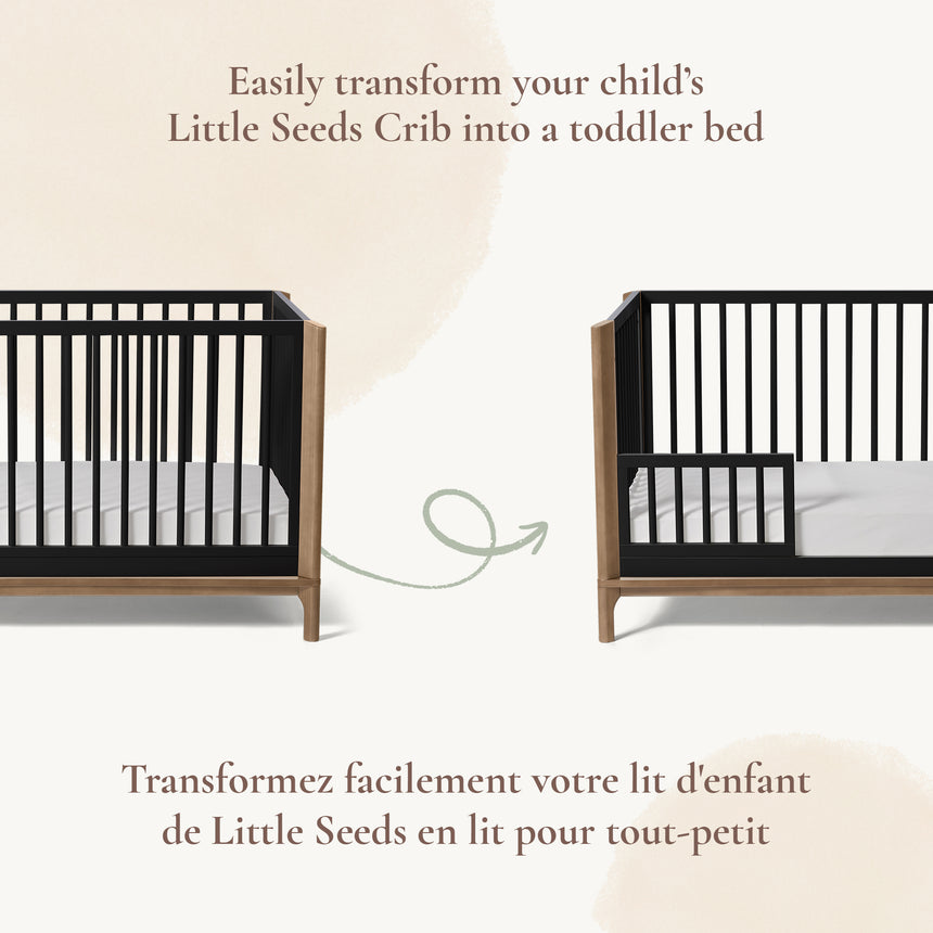 Option De Jour Laurel - Noir-Little Seeds-LIS-TF008BKPL-CLÉMENT