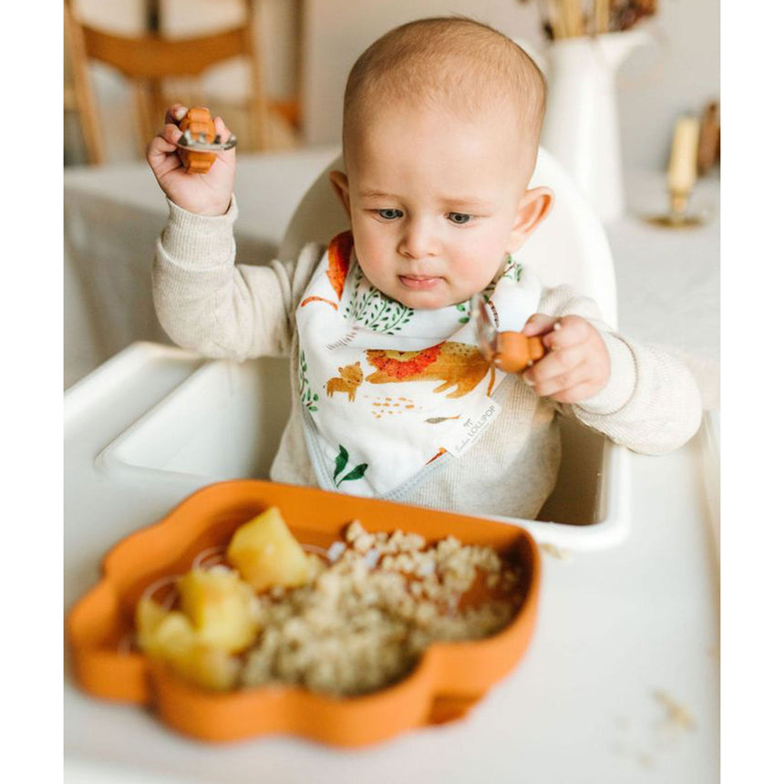 Assiette en Silicone - Lion-Loulou Lollipop-LLP-SPL-005-GHN-CLÉMENT