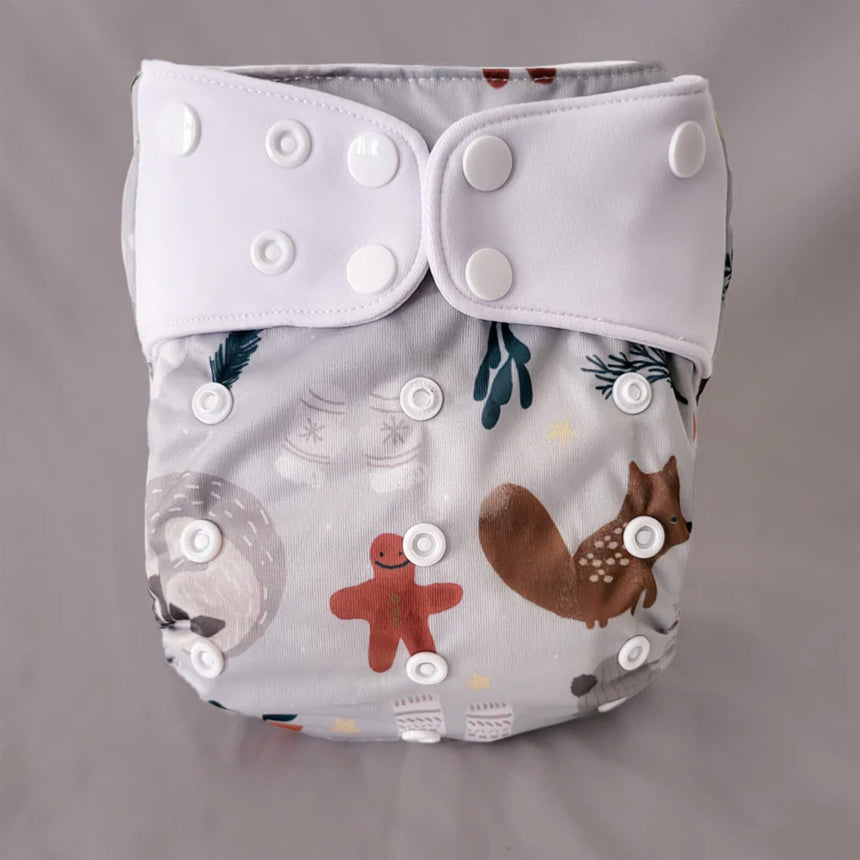 Couche Lavable Évolution 10-35lb - Hiver-La Petite Ourse-LP3-C-NS-HIVER-CLÉMENT