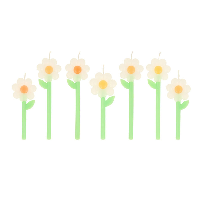 Bougies (5) Marguerites Fleurs Icônes-Meri Meri-MME-275432-CLÉMENT