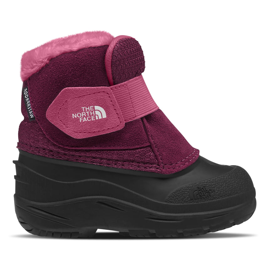 Botte Alpenglow II Pointures 4-9-The North Face-Prune-4 B-NOH-NF0A3FYO-KK9-CLÉMENT