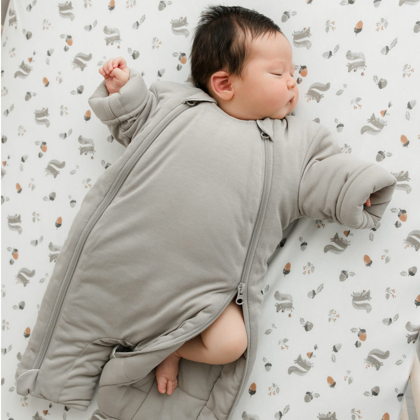 Drap Contour pour Lit de Bébé - Écureuils-Perlimpinpin-PER-BB3320-SQ-CLÉMENT