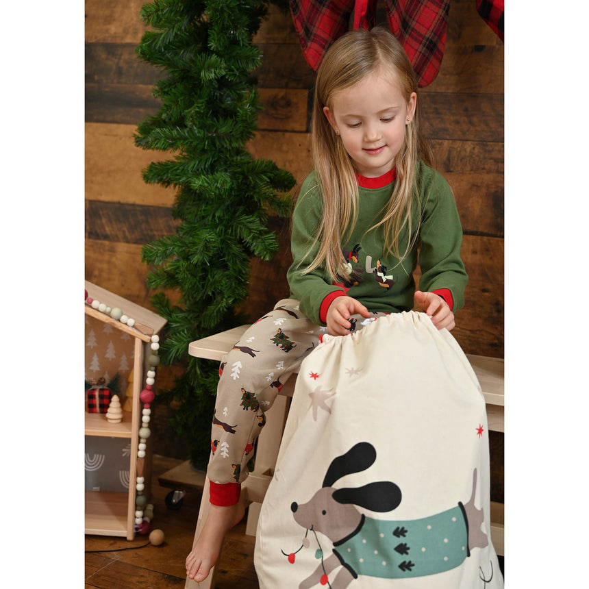 Grand Sac Cadeau / Poche Du Père Noel - Chien-Bebe Confort-CA3-HK-DOG-CLÉMENT
