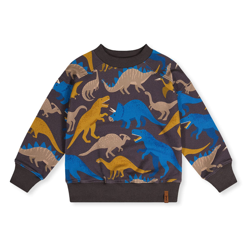 Kangourou Dinos Boys 3-6ans-Deux par Deux-Charcoal-3-2X2-J20U37-057B-CLÉMENT