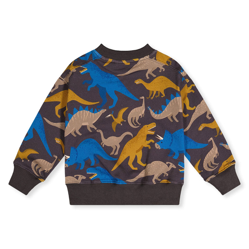 Kangourou Dinos Boys 3-6ans-Deux par Deux-2X2-J20U37-057B-CLÉMENT