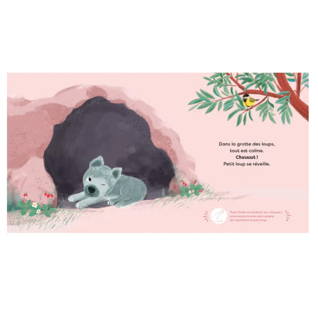 Ouh Ouh, Petit Loup!-Clément - Librairie-ADP-897871-CLÉMENT