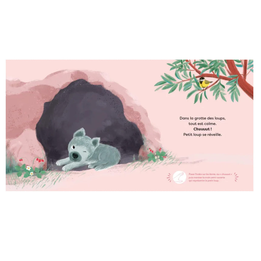 Ouh Ouh, Petit Loup!-Clément - Librairie-ADP-897871-CLÉMENT