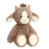 Chèvre Billie-Aurora-AUO-23348-CLÉMENT
