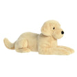 Chien Cooper 25''-Aurora-AUO-31668-CLÉMENT