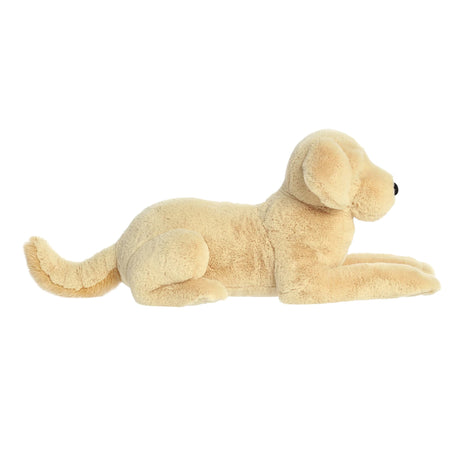 Chien Cooper 25''-Aurora-AUO-31668-CLÉMENT