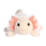 Axolotl Axel-Aurora-AUO-31861-CLÉMENT
