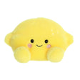 Citron Yuzu-Aurora-AUO-33788-CLÉMENT