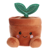 Plante en Pot-Aurora-AUO-33793-CLÉMENT