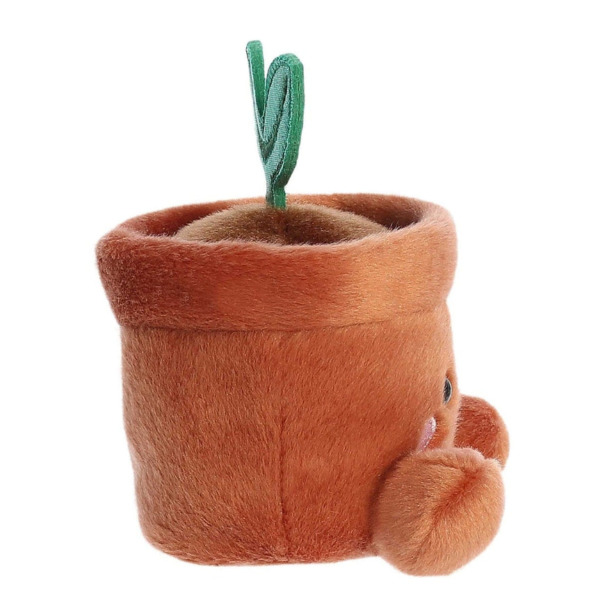 Plante en Pot-Aurora-AUO-33793-CLÉMENT