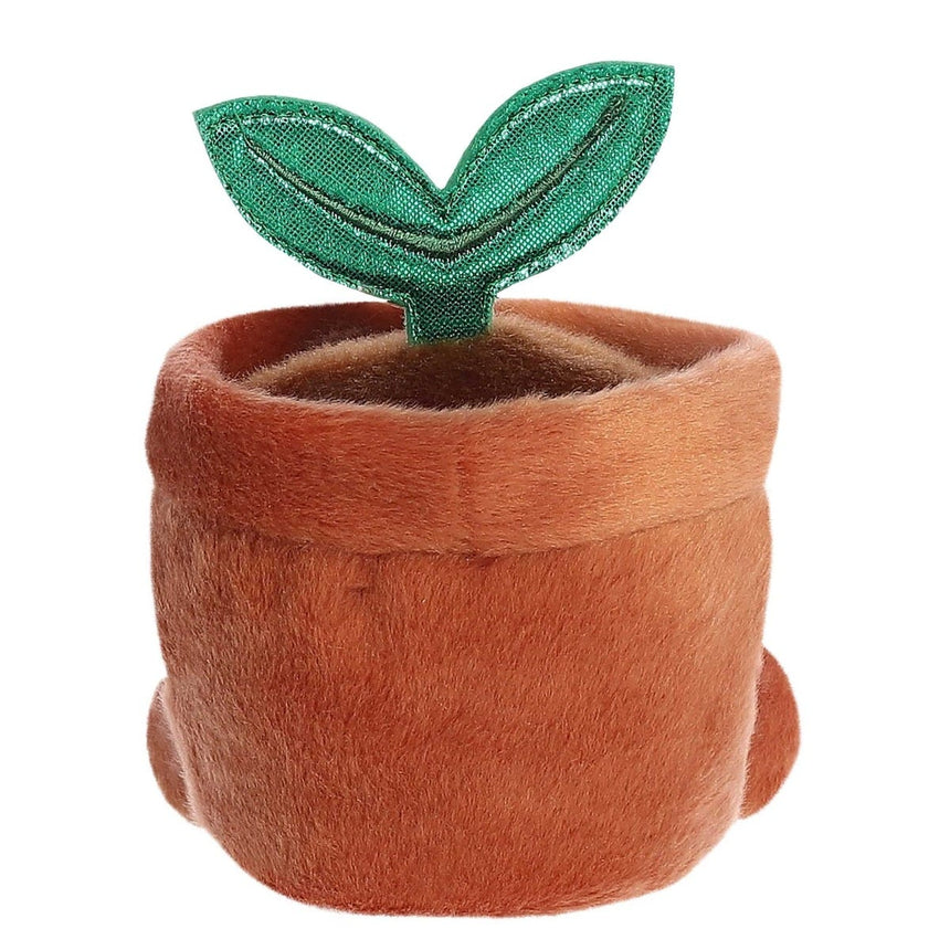 Plante en Pot-Aurora-AUO-33793-CLÉMENT