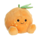 Orange Tangie-Aurora-AUO-33913-CLÉMENT