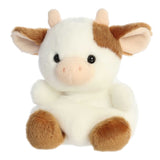 Vache Brune Caroline-Aurora-AUO-82172-CLÉMENT