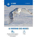 Les Animaux Du Québec-Auzou-AUZ-782733874967-CLÉMENT