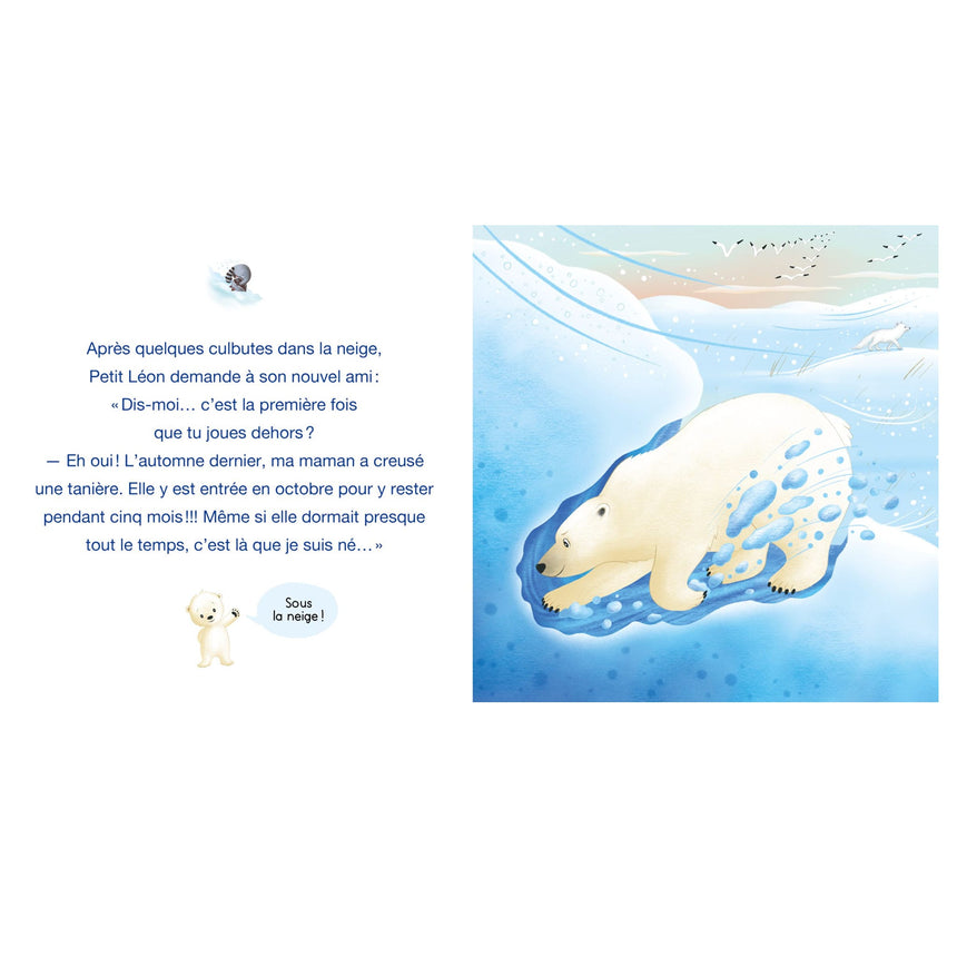 Petit Léon et l'Ourson Polaire-Auzou-AUZ-782898247774-CLÉMENT