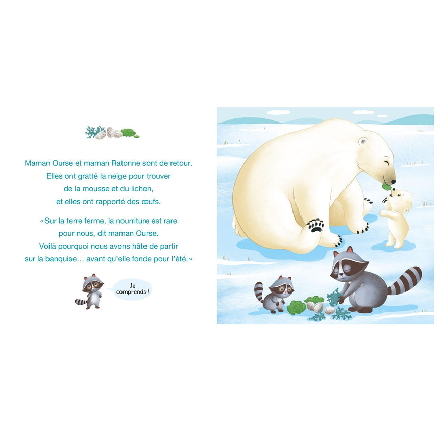 Petit Léon et l'Ourson Polaire-Auzou-AUZ-782898247774-CLÉMENT