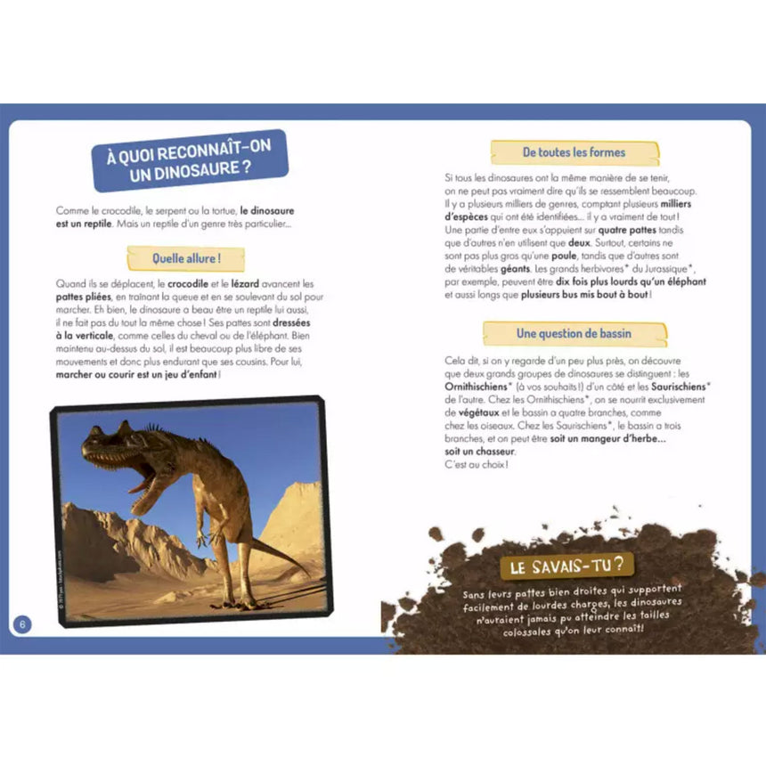 À La Découverte Des Dinosaures-Auzou-AUZ-791039525060-CLÉMENT