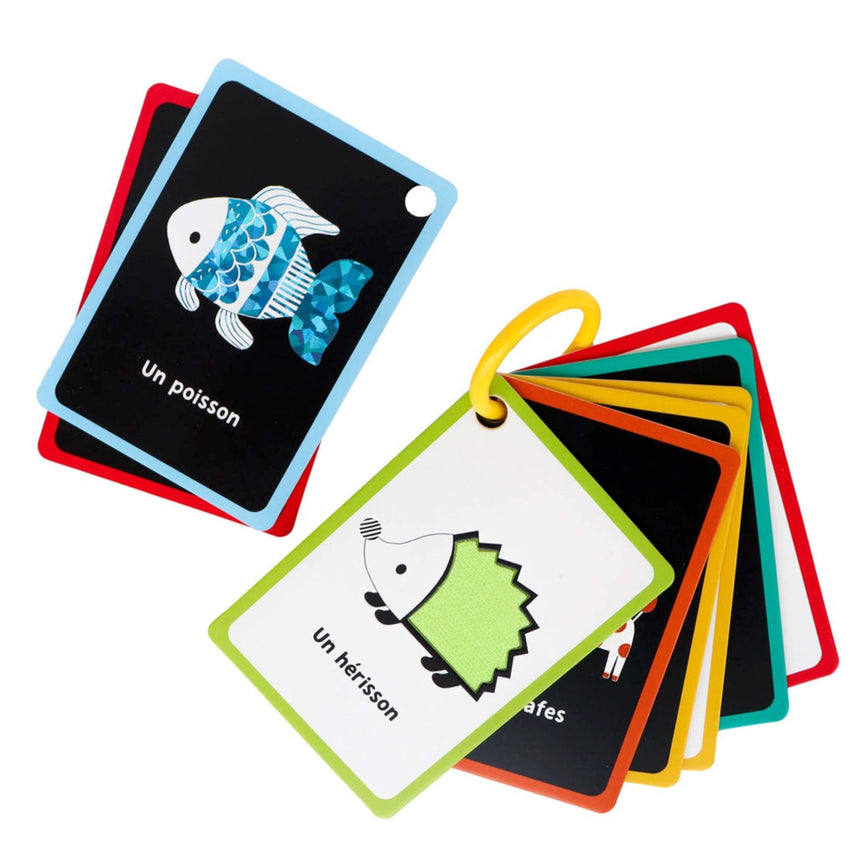 Mes 1eres Cartes Pour Éveiller-Auzou-AUZ-791039560191-CLÉMENT