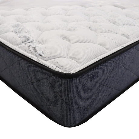Matelas Simple Roulé Espresso TightTop 9PO-Matelas Avanti-AVA-ESPRESSO-CLÉMENT
