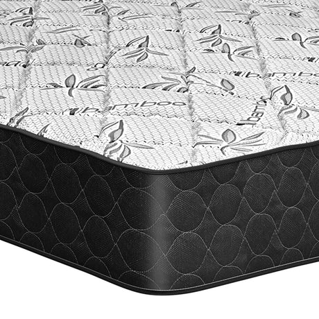 Matelas Simple Roulé avec Ressorts-Matelas Avanti-AVA-KONA 39-CLÉMENT
