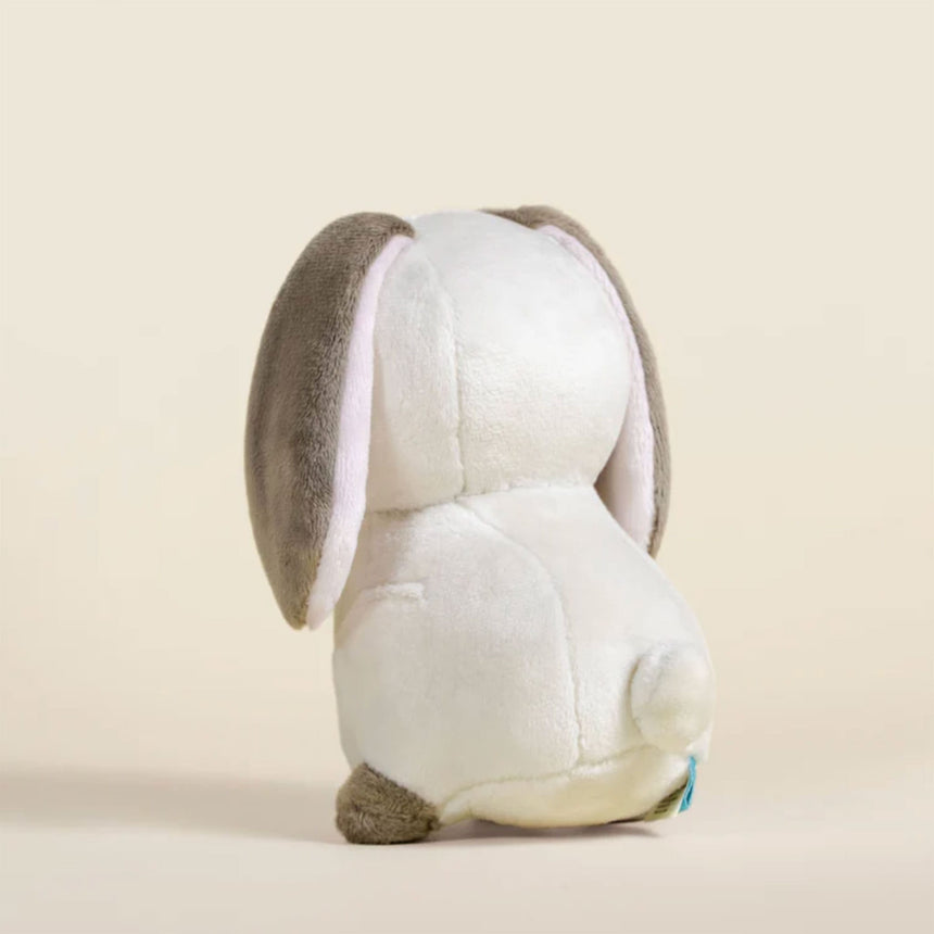 Mini Lop Le Lapin-Bellzi-BLZ-BUNNI-S-LOPW-CLÉMENT