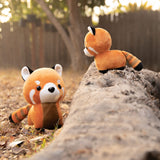Mini Pandi Le Panda Roux-Bellzi-BLZ-REDPANDI-S-O-CLÉMENT