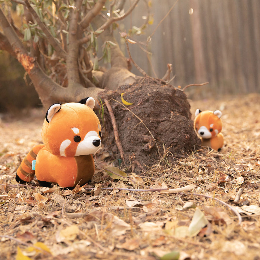 Mini Pandi Le Panda Roux-Bellzi-BLZ-REDPANDI-S-O-CLÉMENT