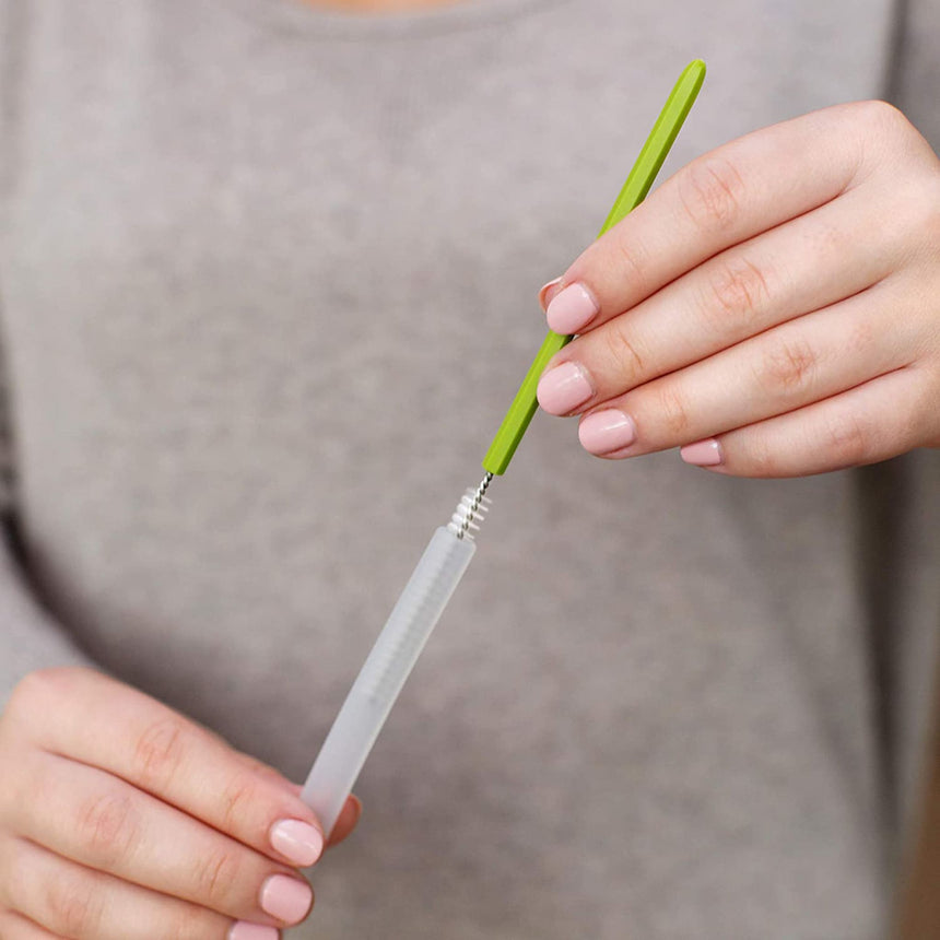 Ensemble de Brosses Cacti - Cactus-Boon-BO2-B11371-CLÉMENT