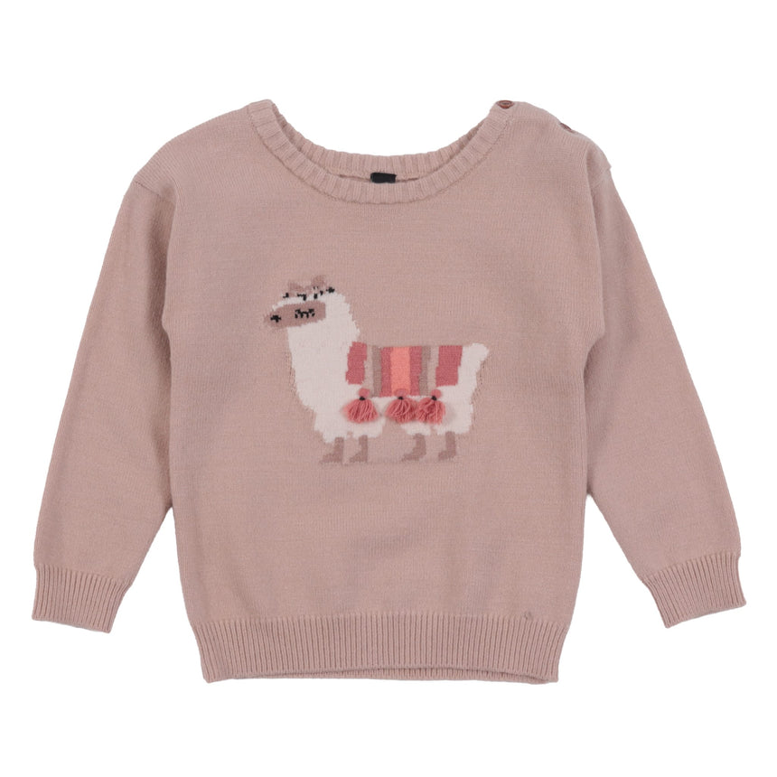 Pull Tricot Prairies 6-24mois-Nano-Beige-6 m-BOS-F2652-06-CLÉMENT