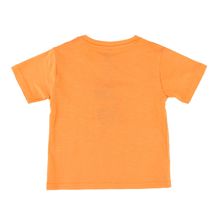 Ensemble Short Océan 6-24mois-Nano-BOS-S2651-04-CLÉMENT