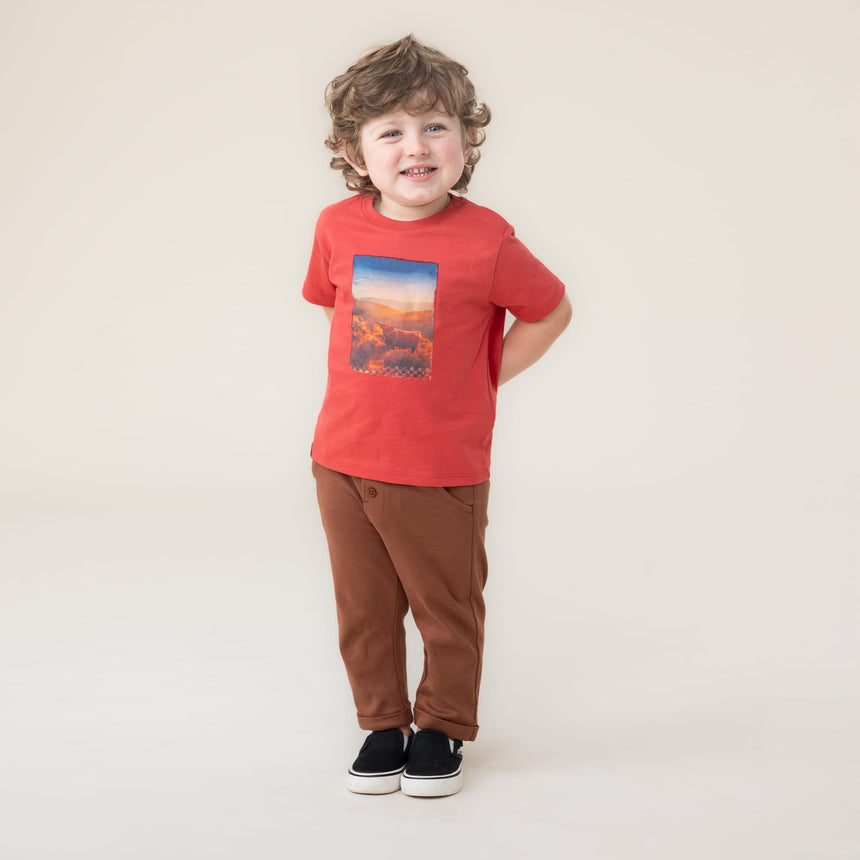 T-shirt Cheval 6-24mois-Nano-BOS-S2653-06-CLÉMENT