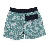 Maillot Short Dinos 2-10ans-Nano-BOS-S26S201-14-CLÉMENT