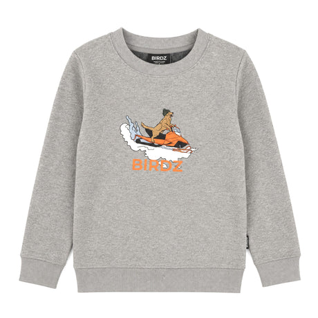Gilet Ouaté Motoneige 2-10ans-Birdz-Gris-2-BR1-CLSPKB07248-CLÉMENT