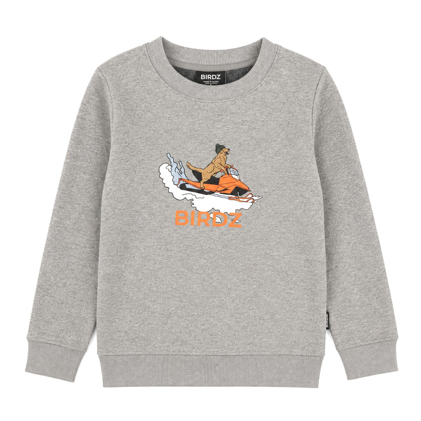 Gilet Ouaté Motoneige 2-10ans-Birdz-Gris-2-BR1-CLSPKB07248-CLÉMENT