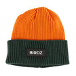 Tuque Birdz Colorblock 2-16ans-Birdz-Orange-2-5-BR6-827Y-OR-CLÉMENT