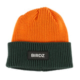 Tuque Birdz Colorblock 2-16ans-Birdz-Orange-2-5-BR6-827Y-OR-CLÉMENT