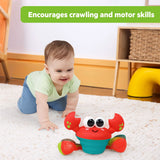 Jouet Musical Intéractif - Crabe-Bright Starts-BRS-17635-CLÉMENT